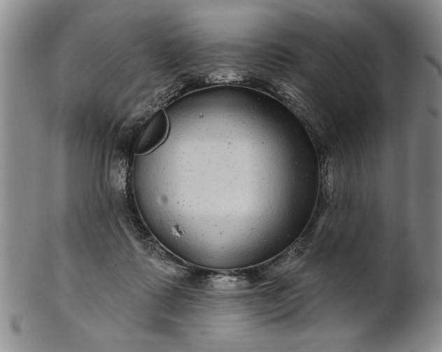 X0000100970315200807081226
