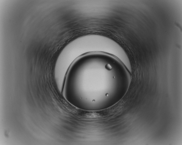 X0000100970316200807081226