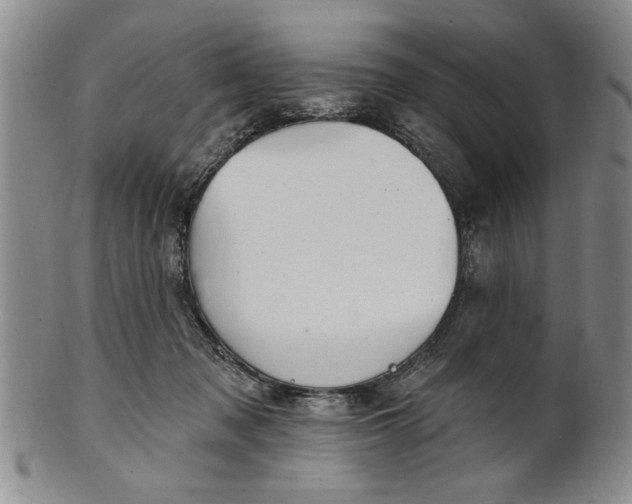 X0000100970317200807081226