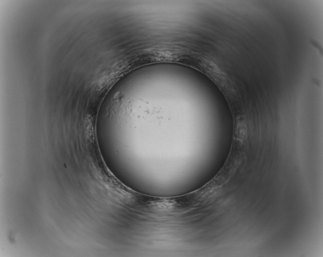 X0000100970318200807081226