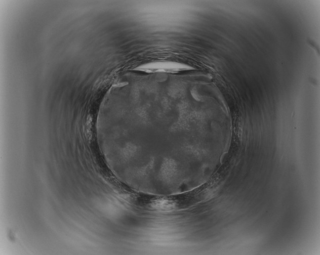 X0000100970319200807081226