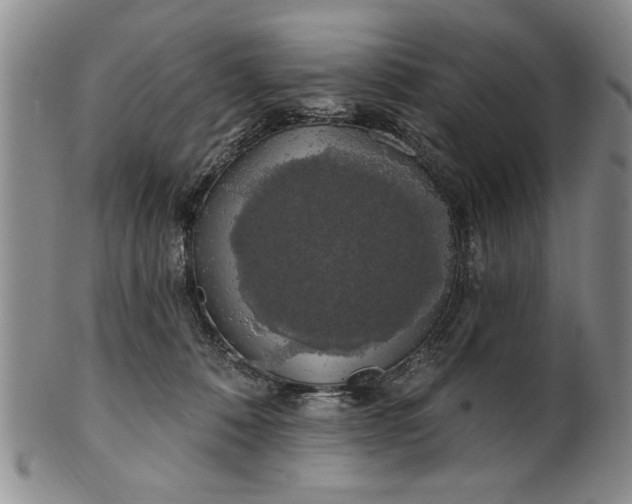 X0000100970320200807081226