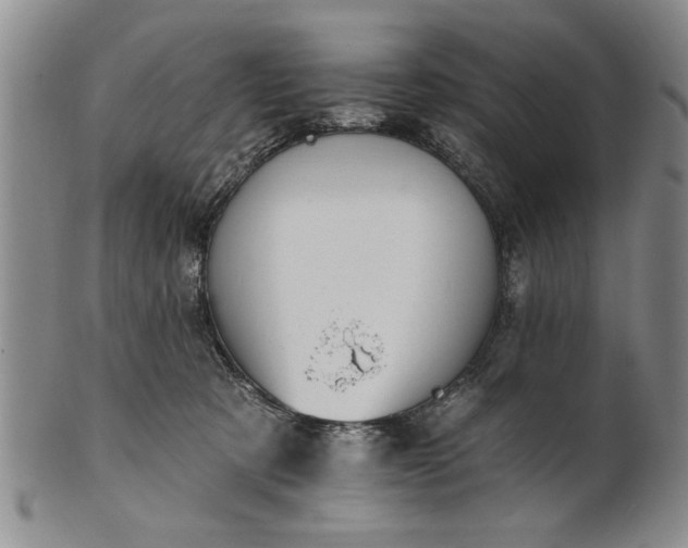X0000100970321200807081226