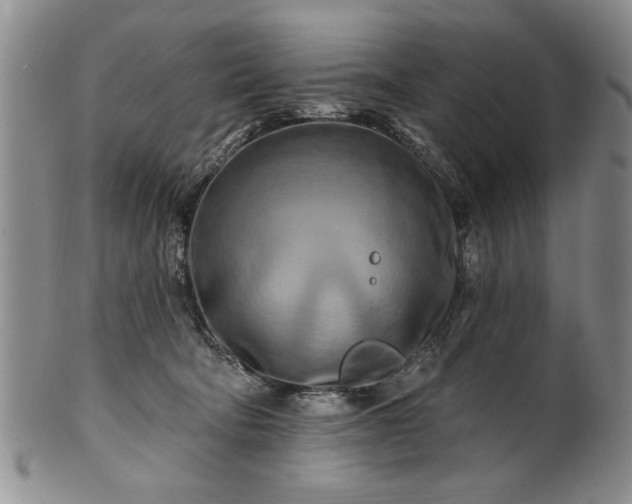 X0000100970322200807081226