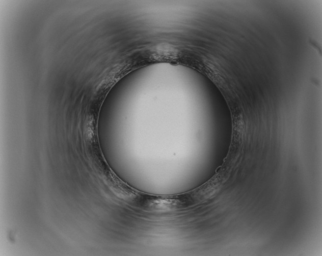X0000100970323200807081226