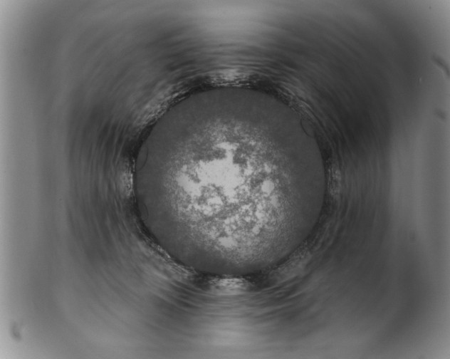 X0000100970324200807081226