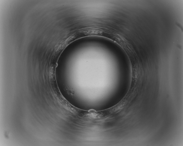 X0000100970326200807081226