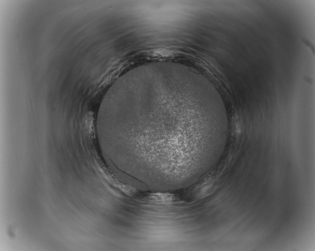 X0000100970328200807081225