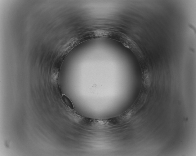 X0000100970329200807081225