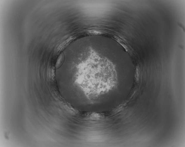 X0000100970330200807081225