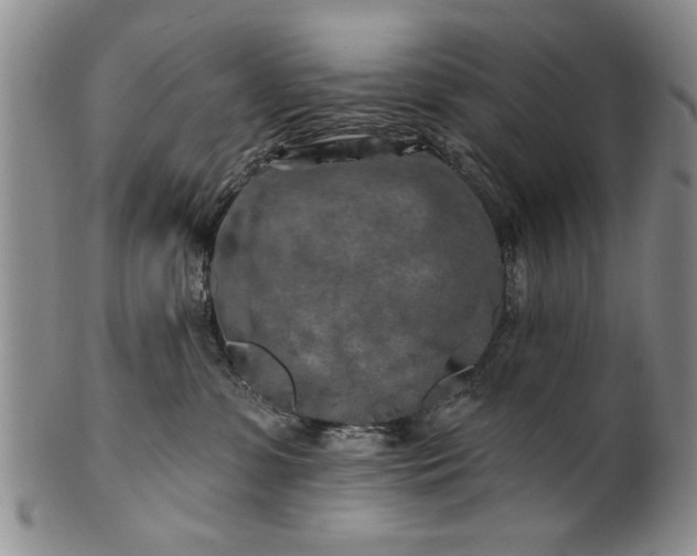 X0000100970331200807081225