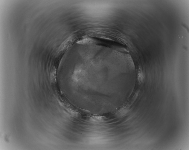 X0000100970332200807081225