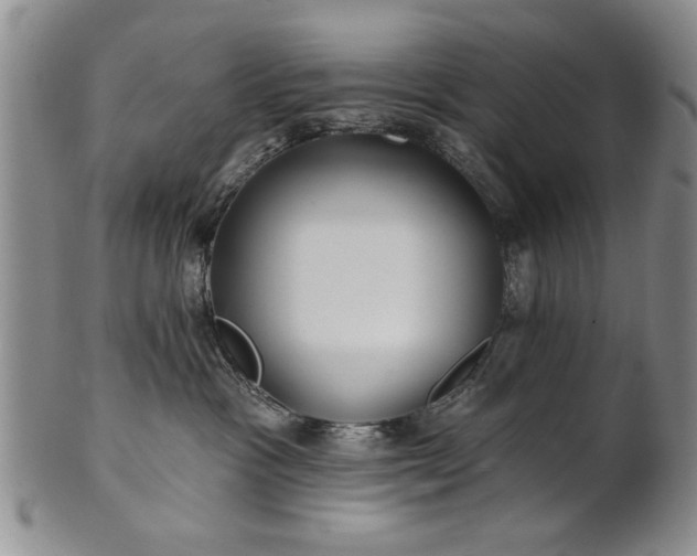 X0000100970333200807081225