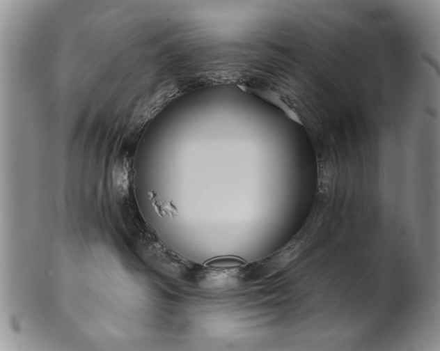 X0000100970334200807081225