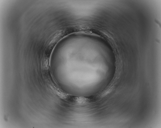 X0000100970336200807081225
