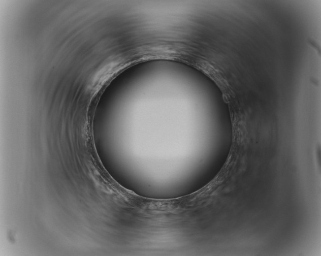 X0000100970338200807081225