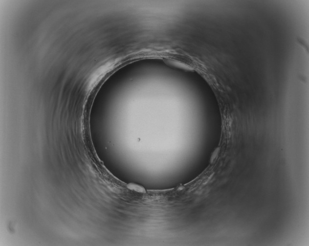 X0000100970340200807081225