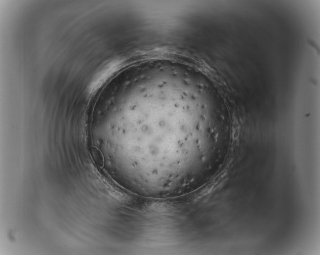 X0000100970341200807081225