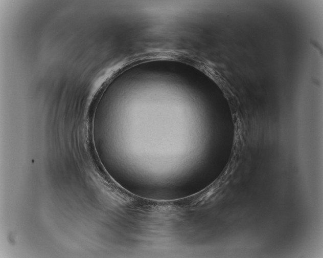 X0000100970342200807081225