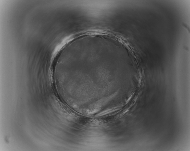 X0000100970343200807081225