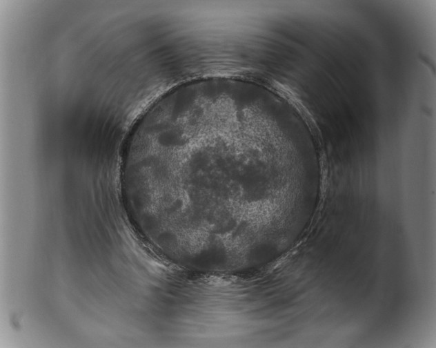 X0000100970346200807081225