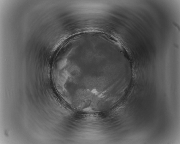 X0000100970347200807081225