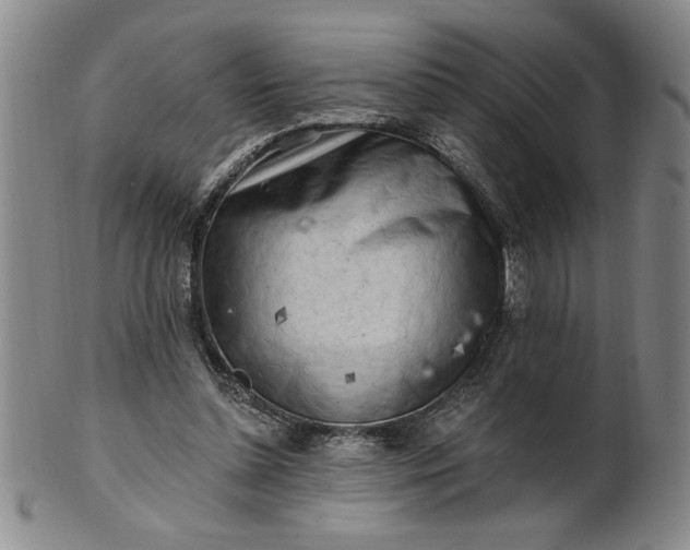 X0000100970348200807081225