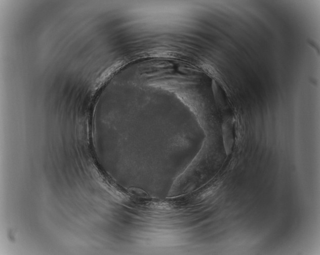 X0000100970349200807081225