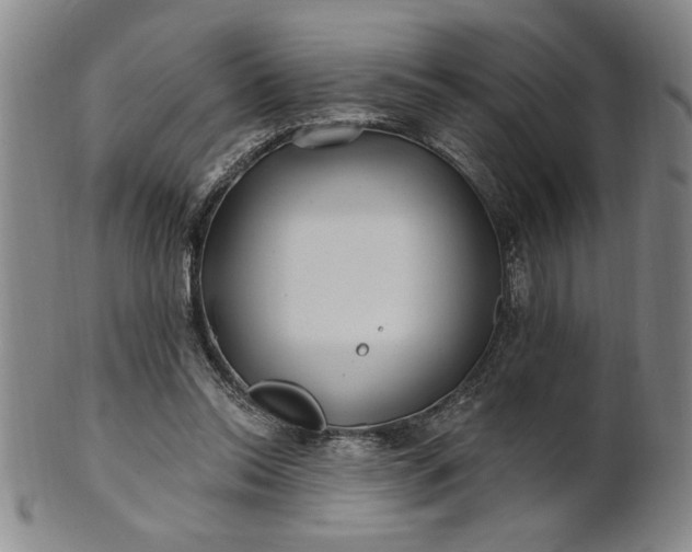 X0000100970350200807081225