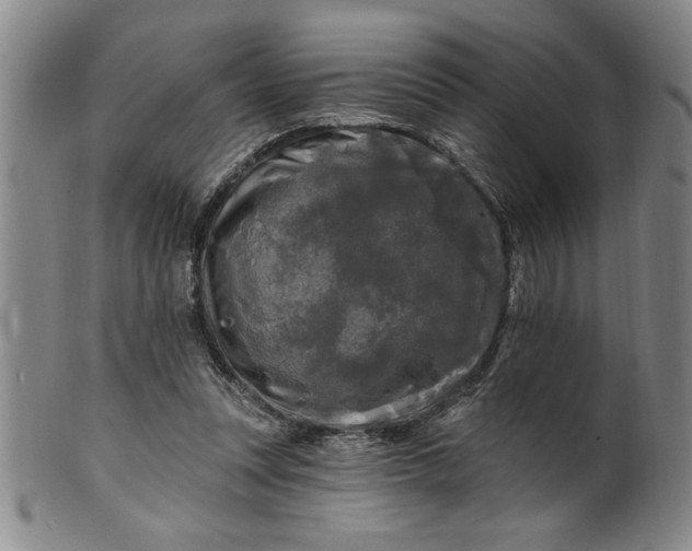 X0000100970351200807081225