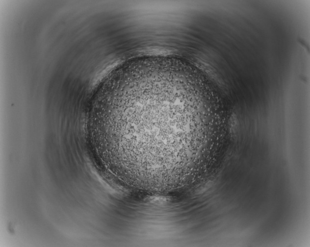 X0000100970352200807081225