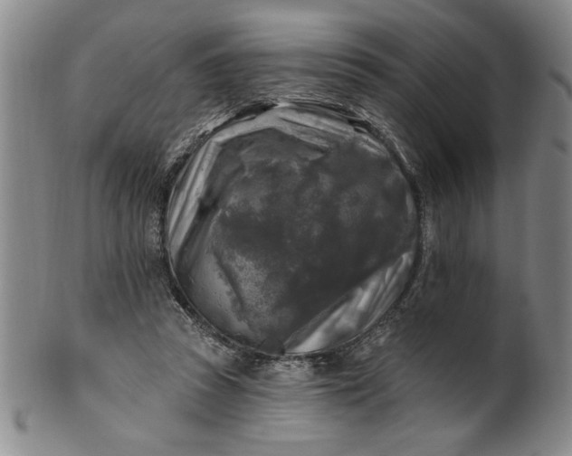 X0000100970353200807081225
