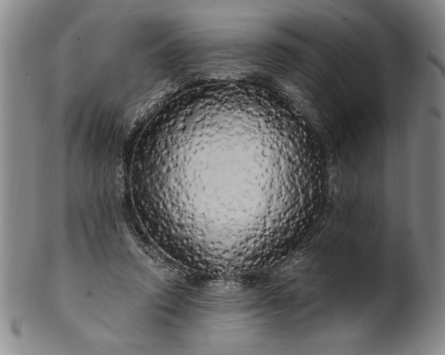 X0000100970354200807081225