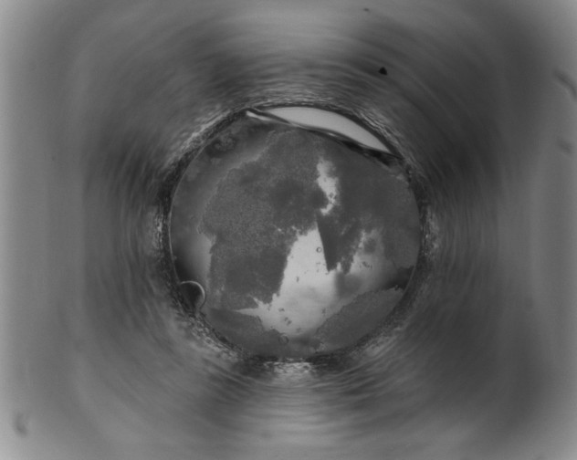 X0000100970355200807081225