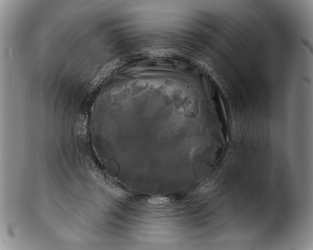 X0000100970357200807081225
