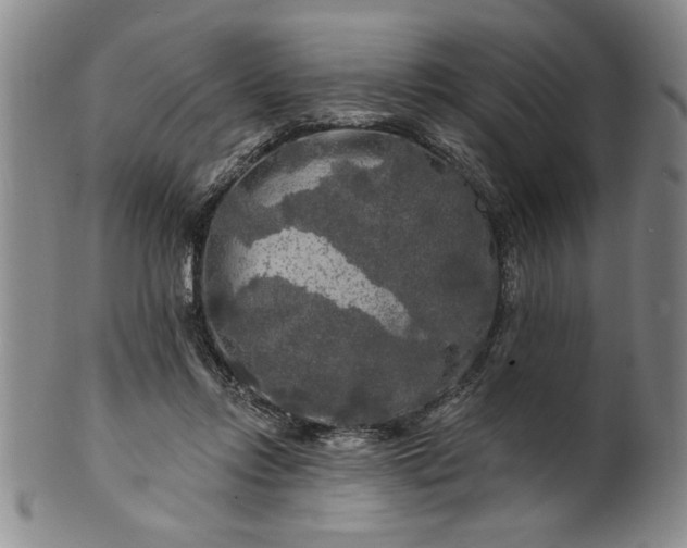 X0000100970358200807081225