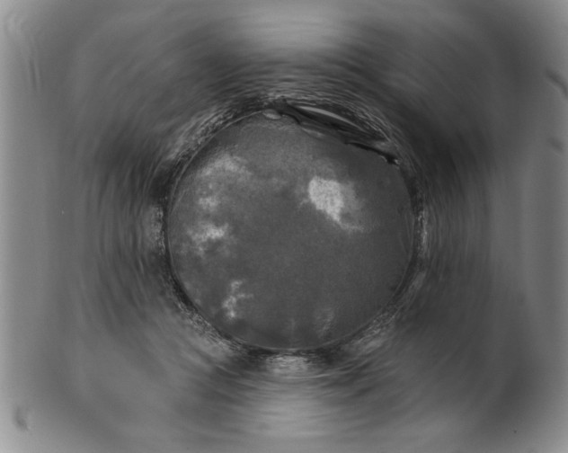 X0000100970361200807081225