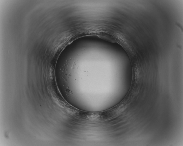 X0000100970362200807081225