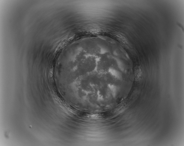 X0000100970365200807081225