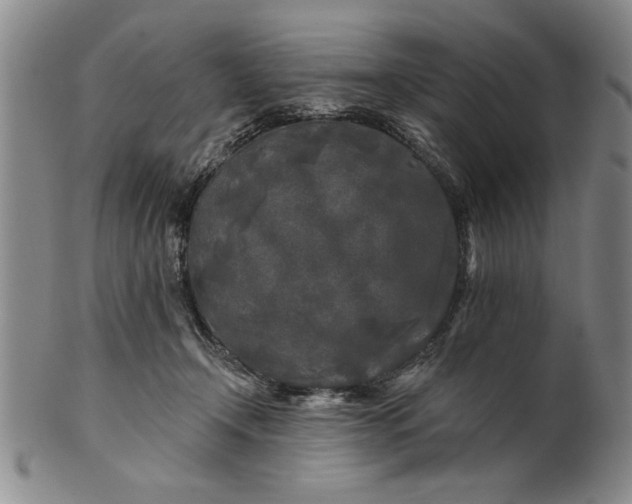 X0000100970366200807081225