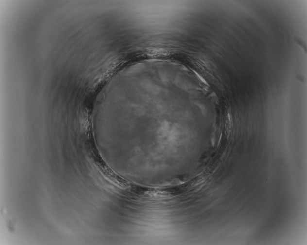 X0000100970367200807081225