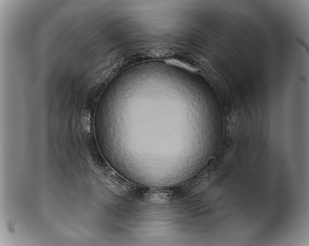 X0000100970368200807081225