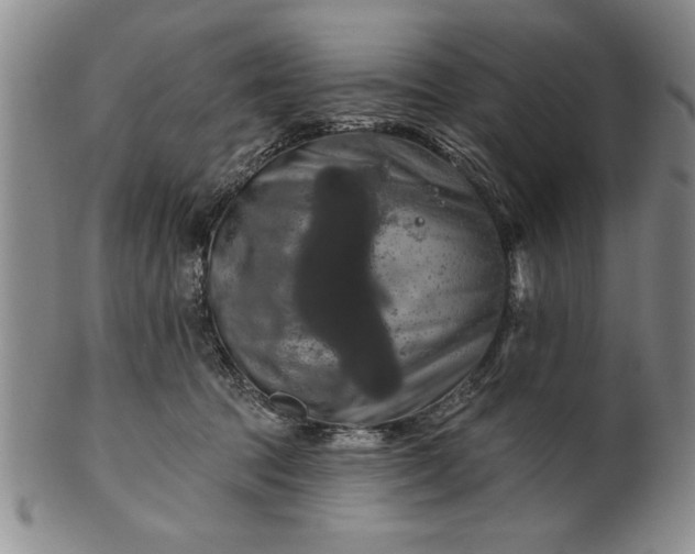 X0000100970369200807081225