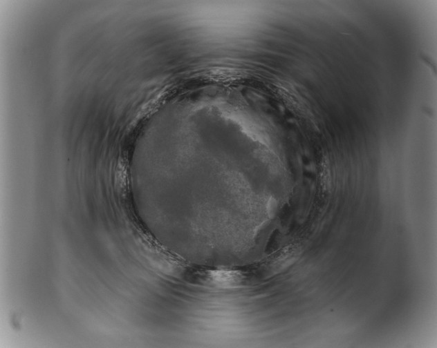 X0000100970371200807081225