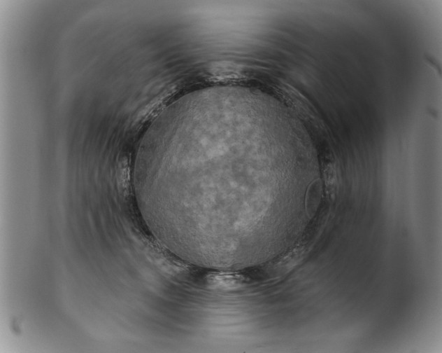X0000100970372200807081225