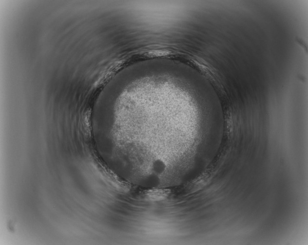 X0000100970373200807081225