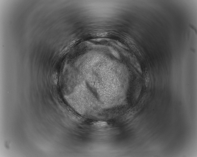 X0000100970374200807081225