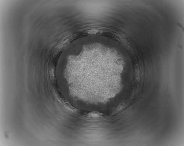 X0000100970375200807081225