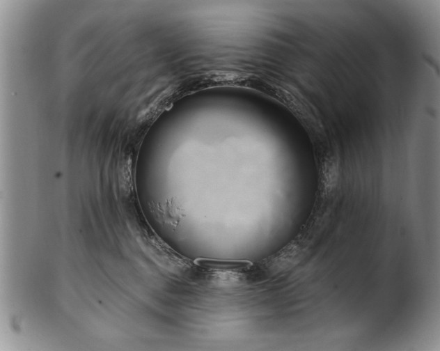 X0000100970376200807081225