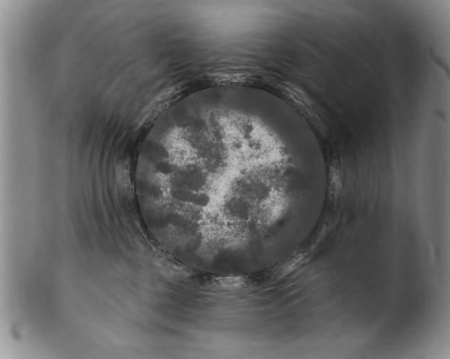 X0000100970377200807081225